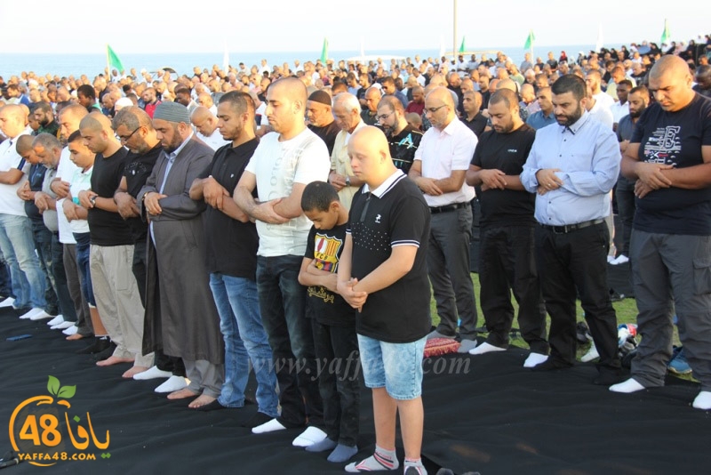 salah 3ed montahzah3 (80).JPG